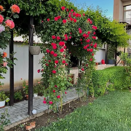 Pensiunea Dea House Penzion 3*