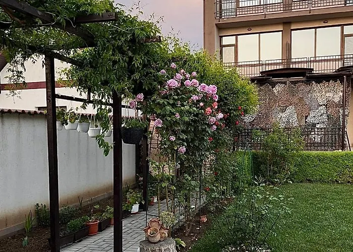 ゲストハウス Pensiunea Dea House 3*