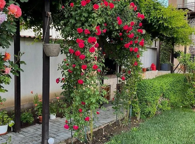 Pensiunea Dea House ゲストハウス 3*