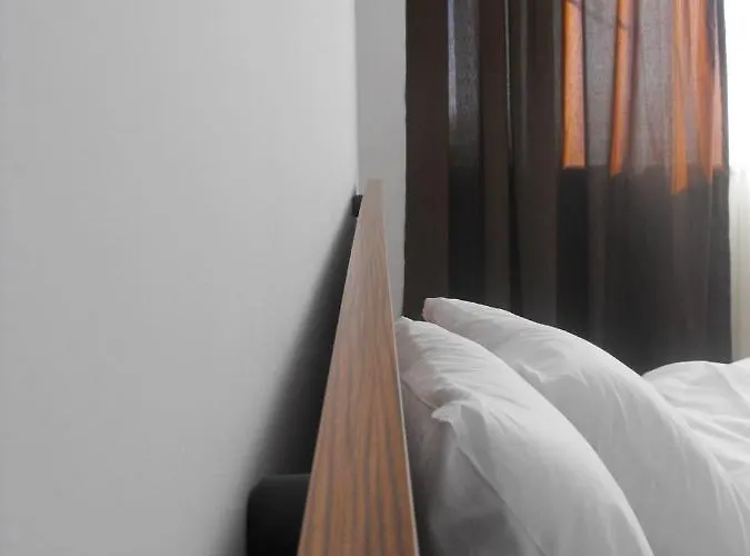 ゲストハウス Pensiunea Dea House 3*