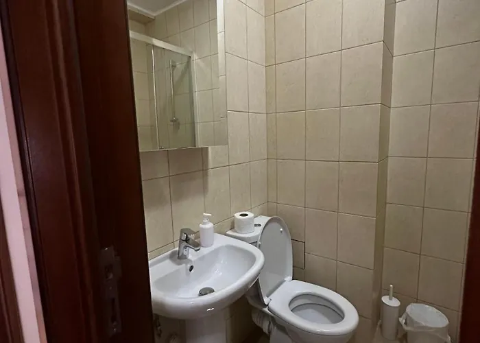 ゲストハウス Pensiunea Dea House