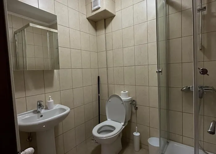 ゲストハウス Pensiunea Dea House