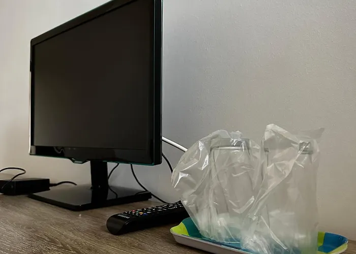 Pensiunea Dea House ゲストハウス ママイア