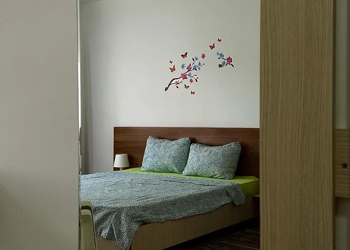 ゲストハウス Pensiunea Dea House