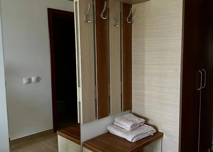 ゲストハウス Pensiunea Dea House