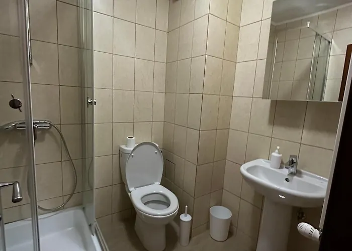 Pensiunea Dea House ゲストハウス ママイア