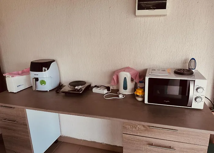 Pensiunea Dea House ゲストハウス ママイア